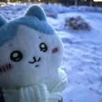 xiaojietech的头像-一中青春汇